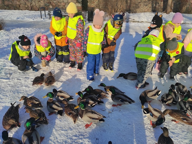 Grupka dzieci stoi na śniegu i karmi kaczki.